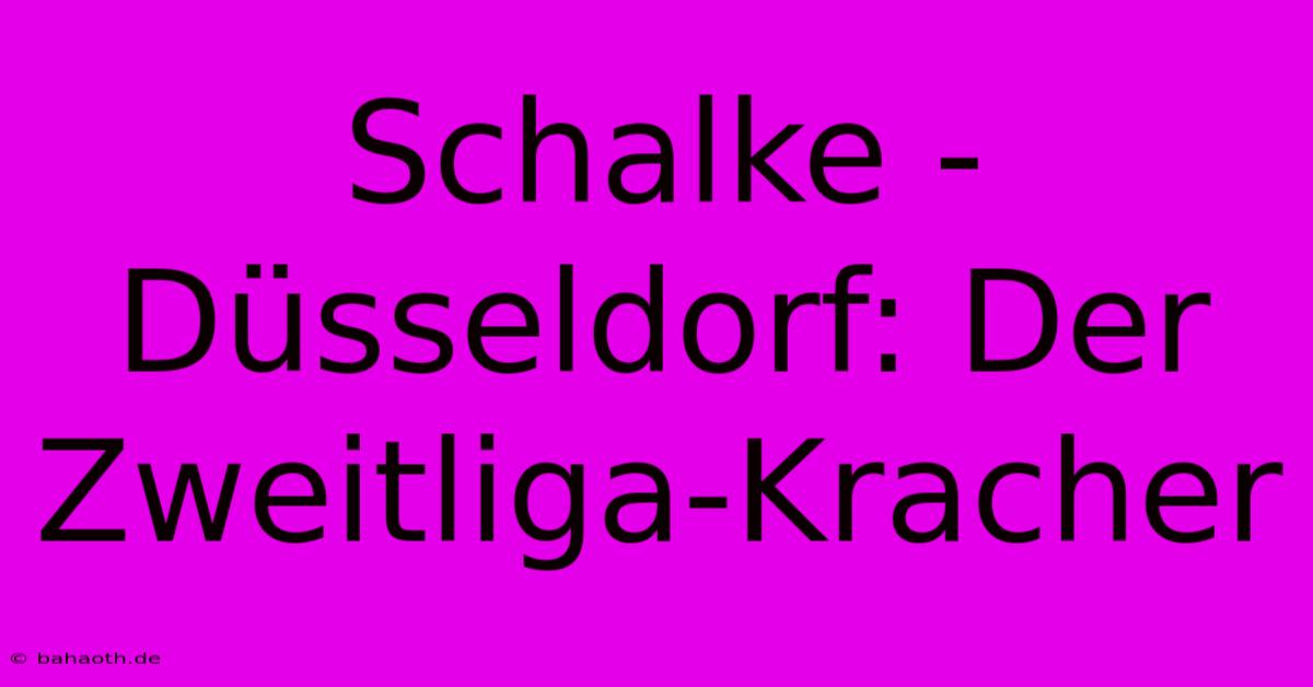 Schalke - Düsseldorf: Der Zweitliga-Kracher