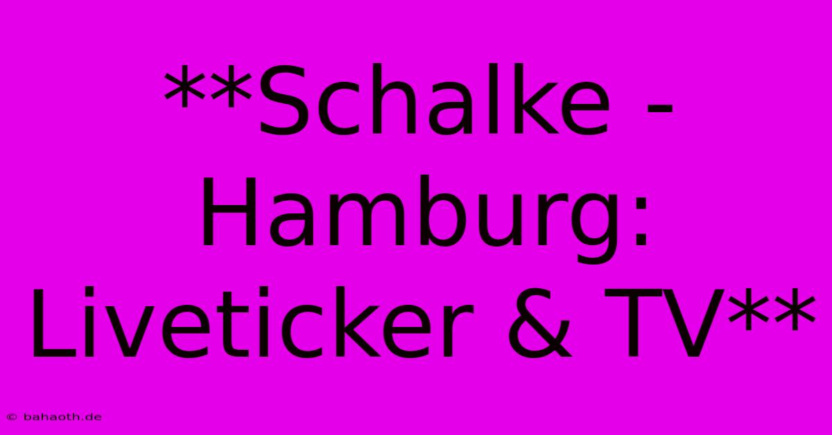 **Schalke - Hamburg: Liveticker & TV**