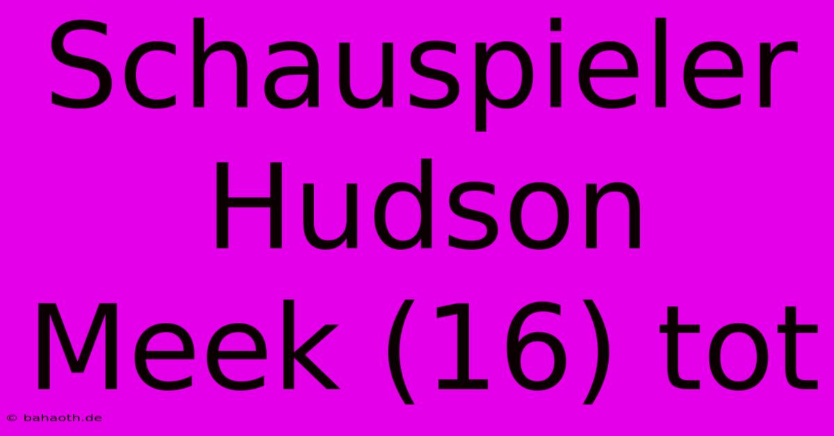 Schauspieler Hudson Meek (16) Tot