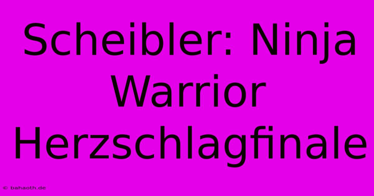 Scheibler: Ninja Warrior Herzschlagfinale