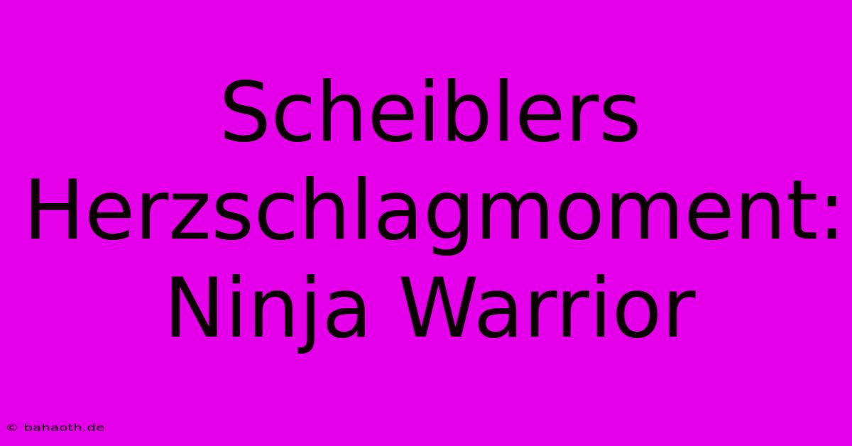 Scheiblers Herzschlagmoment: Ninja Warrior