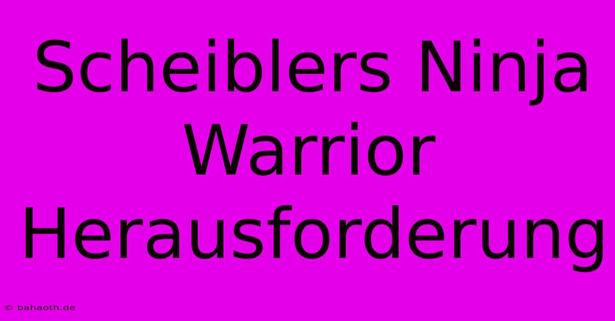 Scheiblers Ninja Warrior Herausforderung