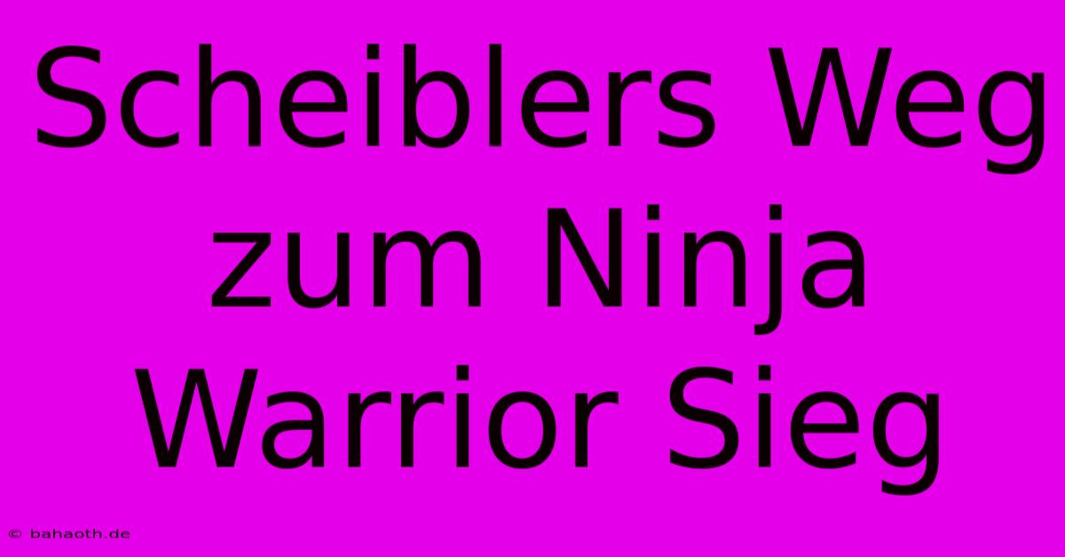 Scheiblers Weg Zum Ninja Warrior Sieg