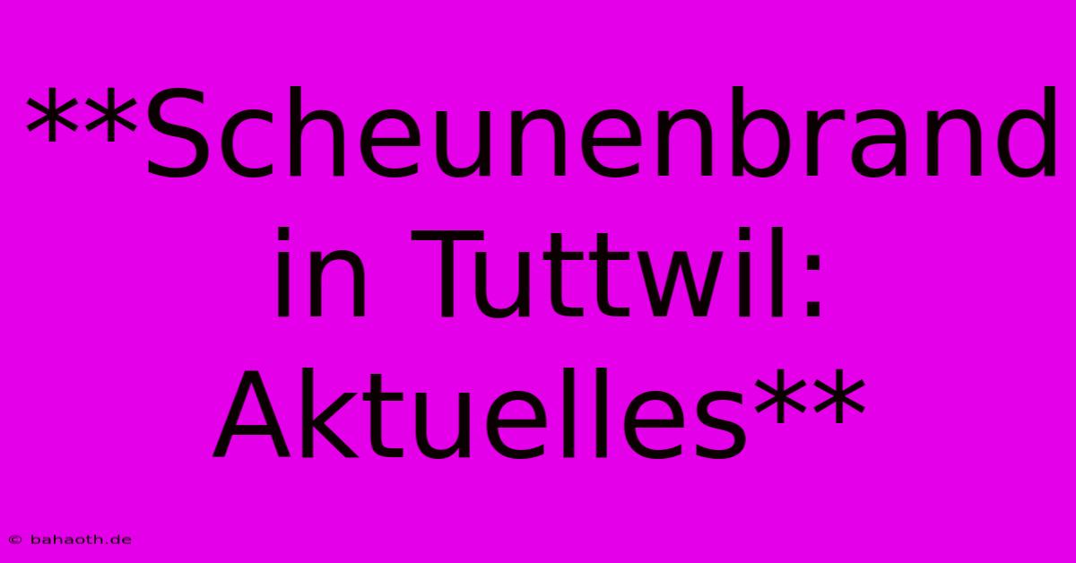 **Scheunenbrand In Tuttwil: Aktuelles**