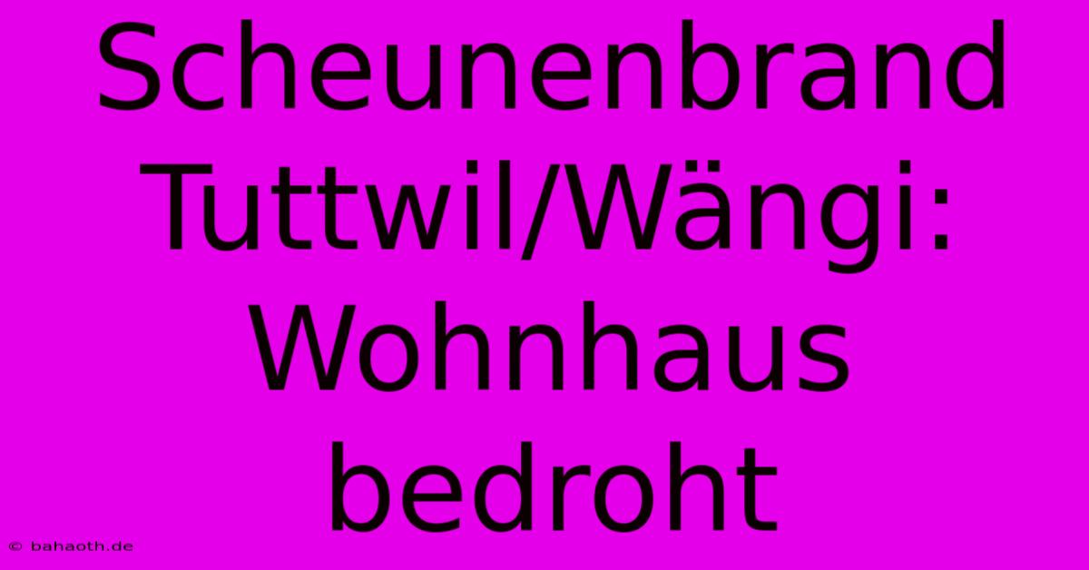 Scheunenbrand Tuttwil/Wängi: Wohnhaus Bedroht