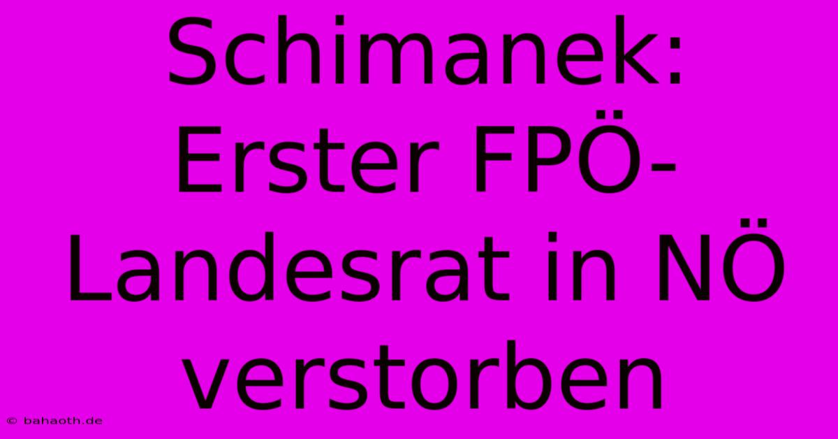 Schimanek: Erster FPÖ-Landesrat In NÖ Verstorben