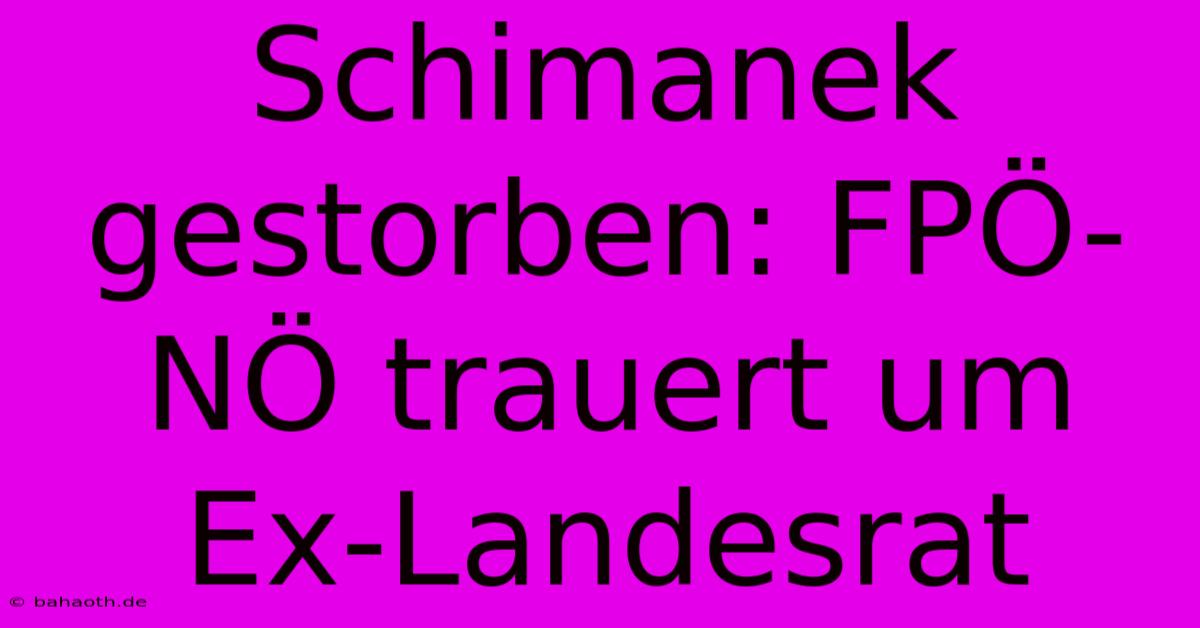 Schimanek Gestorben: FPÖ-NÖ Trauert Um Ex-Landesrat