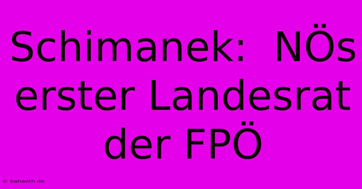 Schimanek:  NÖs Erster Landesrat Der FPÖ