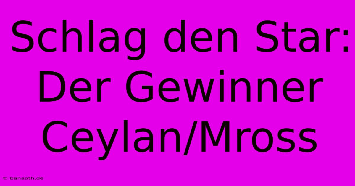 Schlag Den Star: Der Gewinner Ceylan/Mross