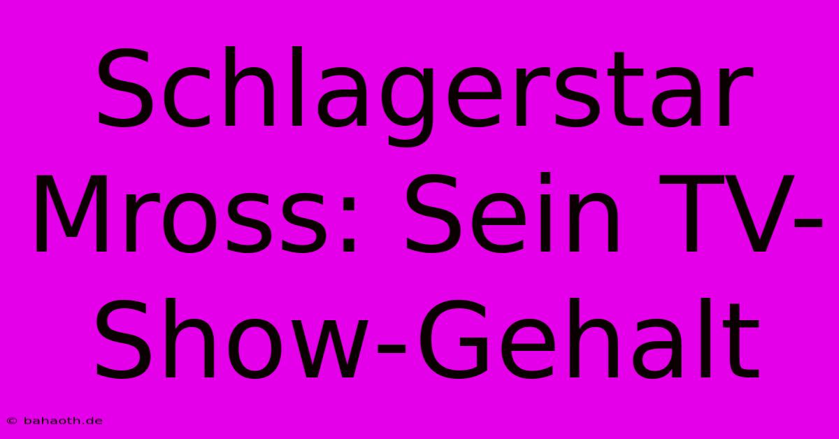 Schlagerstar Mross: Sein TV-Show-Gehalt