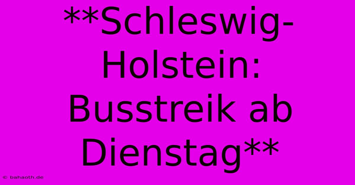 **Schleswig-Holstein: Busstreik Ab Dienstag**