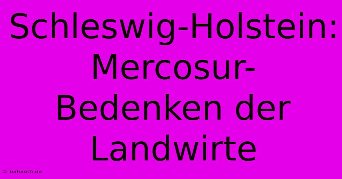 Schleswig-Holstein: Mercosur-Bedenken Der Landwirte