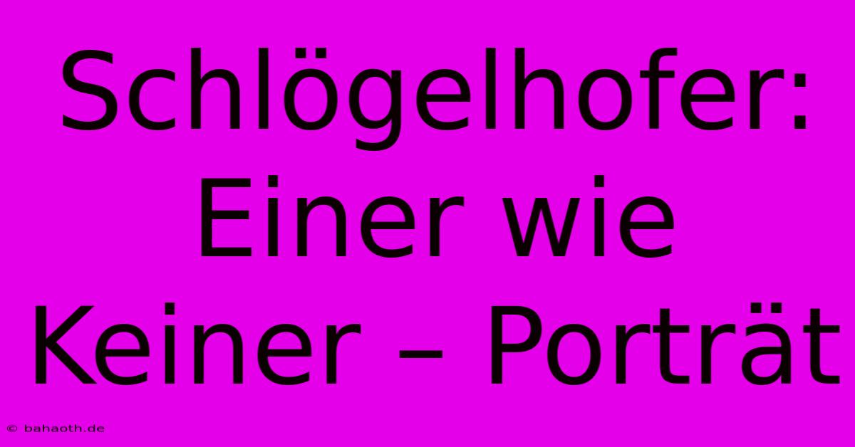 Schlögelhofer:  Einer Wie Keiner – Porträt