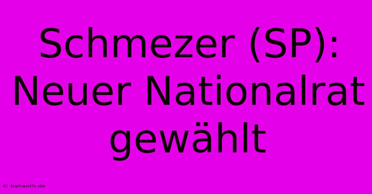 Schmezer (SP): Neuer Nationalrat Gewählt