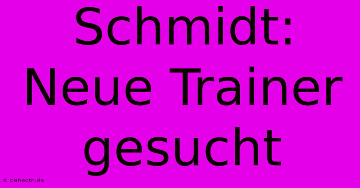 Schmidt:  Neue Trainer Gesucht