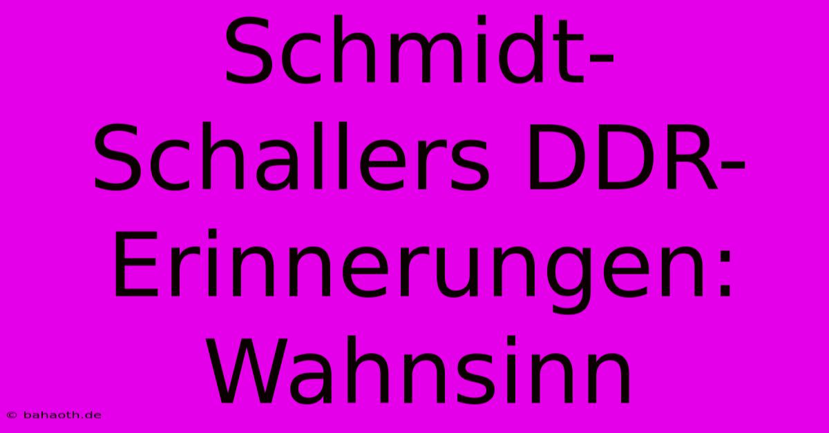 Schmidt-Schallers DDR-Erinnerungen: Wahnsinn