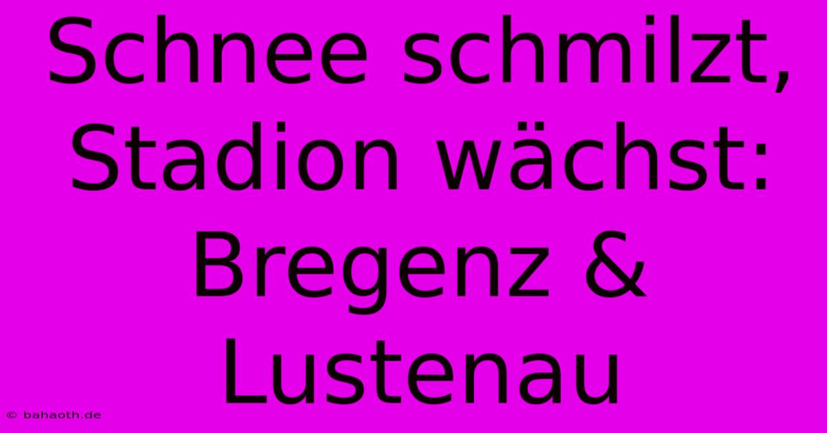 Schnee Schmilzt, Stadion Wächst: Bregenz & Lustenau