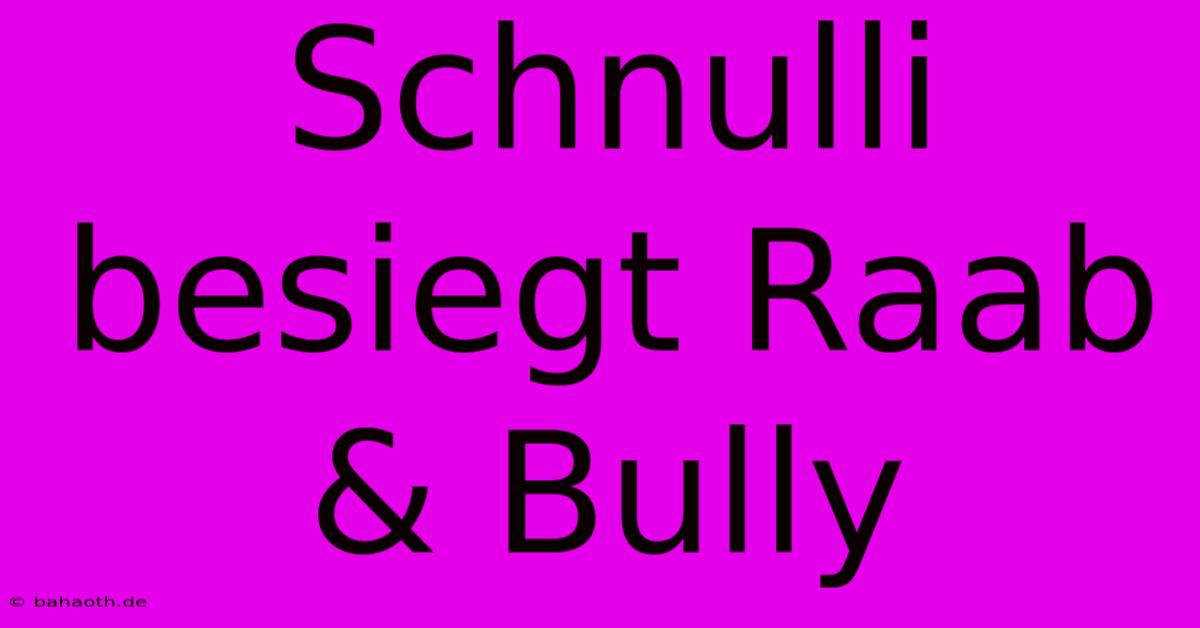 Schnulli Besiegt Raab & Bully