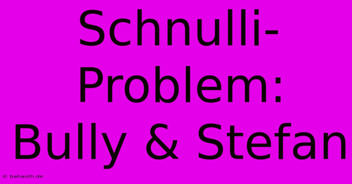 Schnulli-Problem: Bully & Stefan