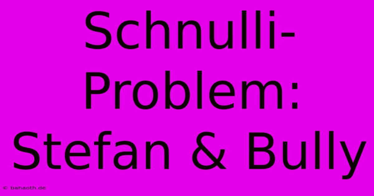 Schnulli-Problem: Stefan & Bully