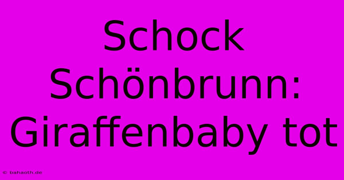 Schock Schönbrunn: Giraffenbaby Tot