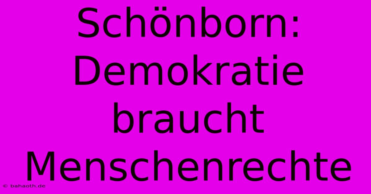 Schönborn:  Demokratie Braucht Menschenrechte