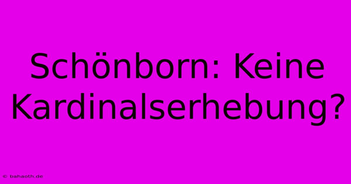 Schönborn: Keine Kardinalserhebung?