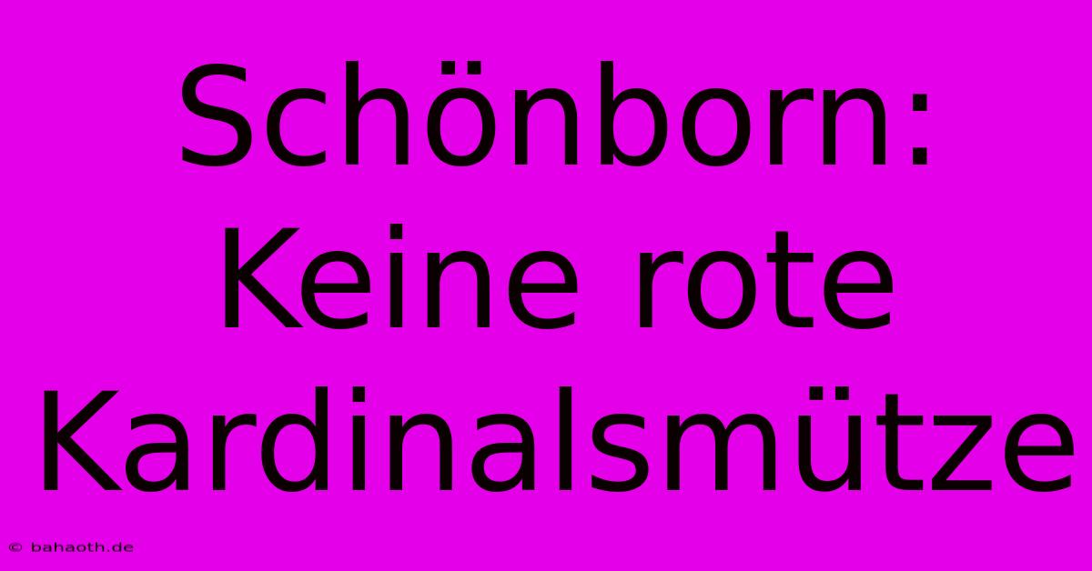 Schönborn: Keine Rote Kardinalsmütze