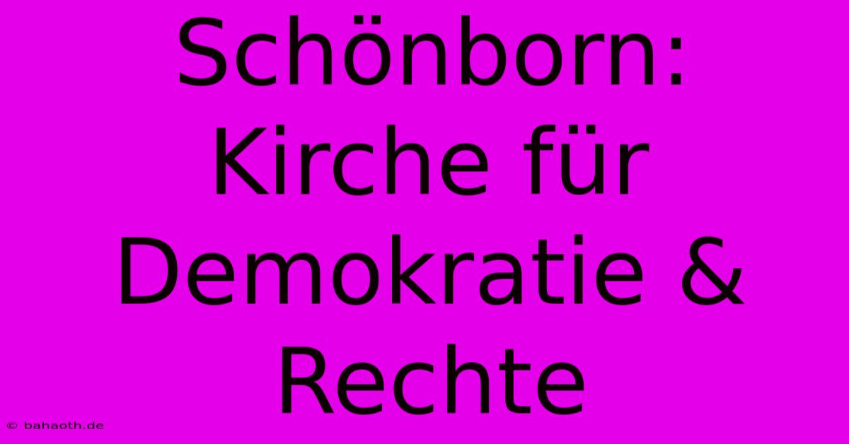 Schönborn: Kirche Für Demokratie & Rechte