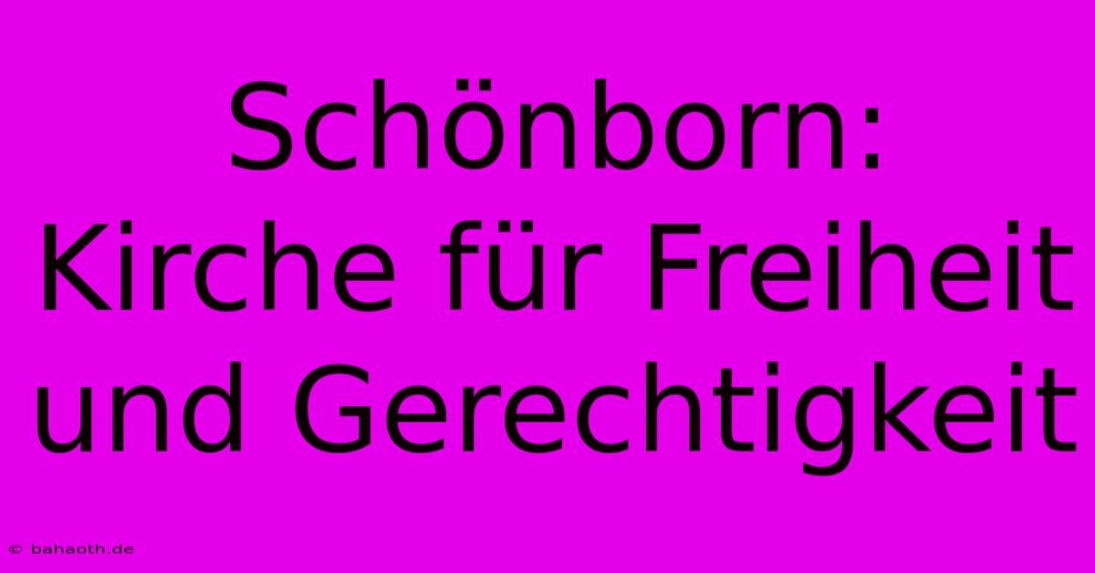 Schönborn:  Kirche Für Freiheit Und Gerechtigkeit