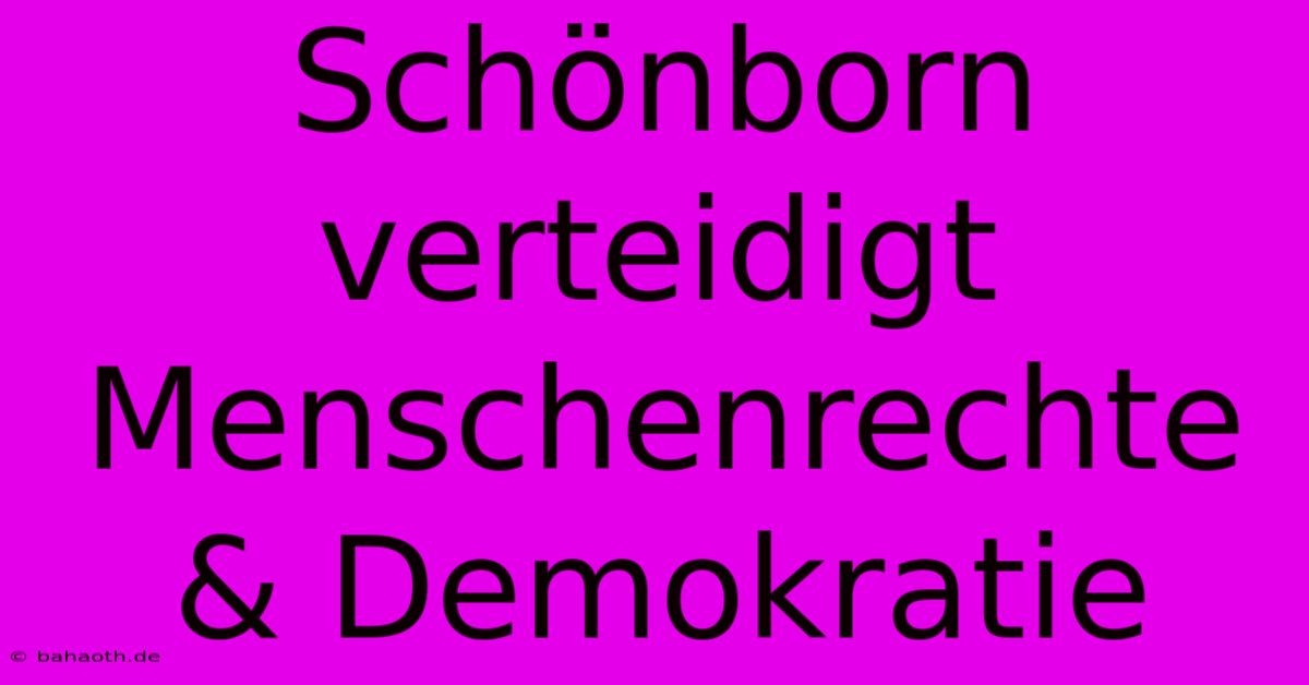 Schönborn Verteidigt Menschenrechte & Demokratie