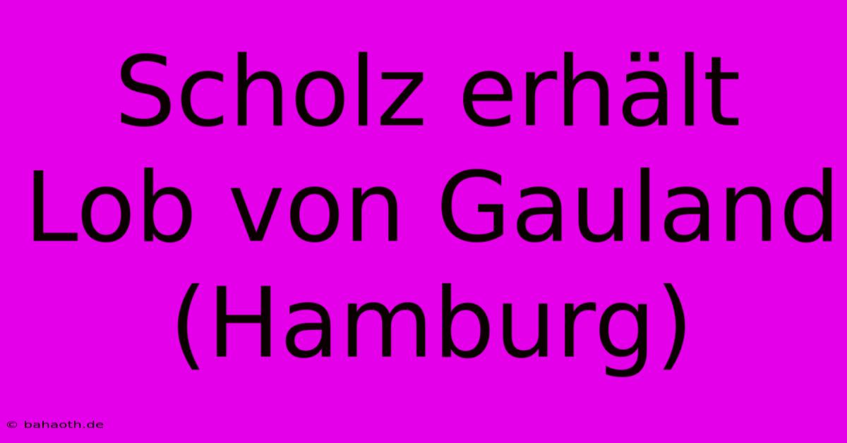 Scholz Erhält Lob Von Gauland (Hamburg)