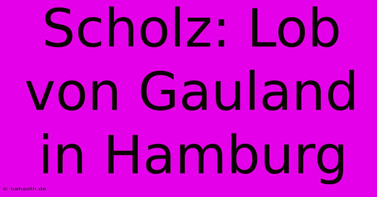 Scholz: Lob Von Gauland In Hamburg