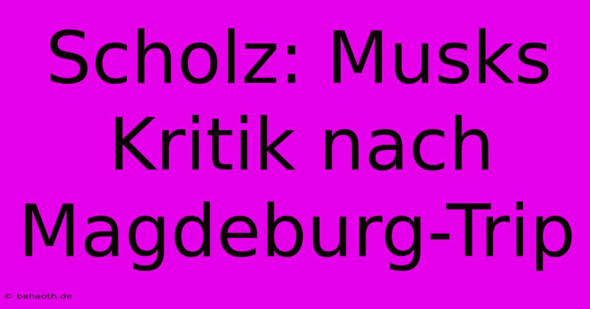 Scholz: Musks Kritik Nach Magdeburg-Trip