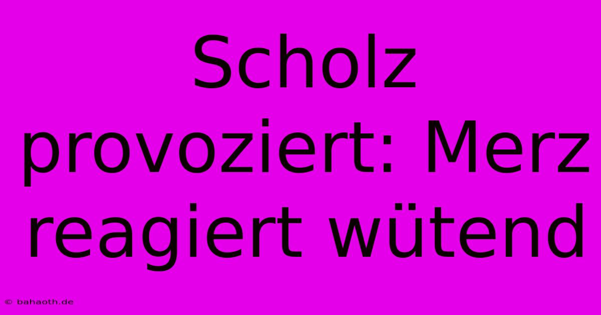 Scholz Provoziert: Merz Reagiert Wütend