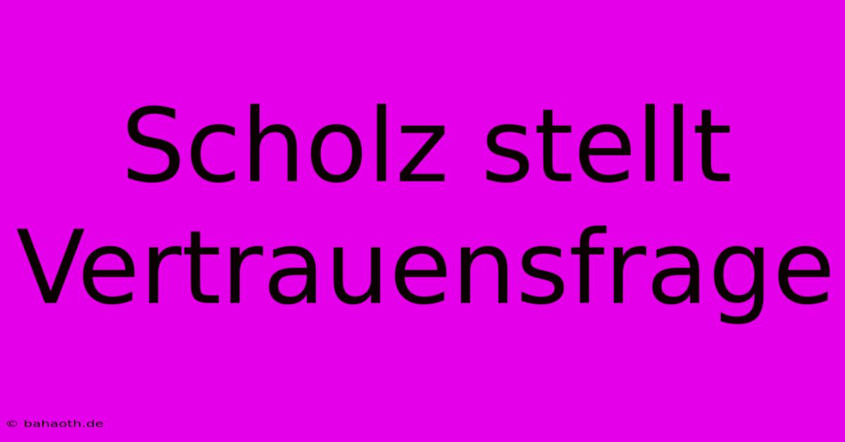 Scholz Stellt Vertrauensfrage