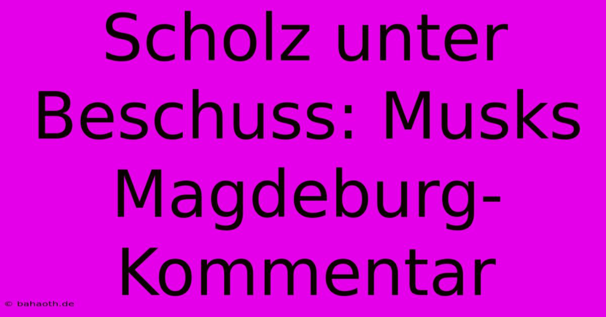 Scholz Unter Beschuss: Musks Magdeburg-Kommentar