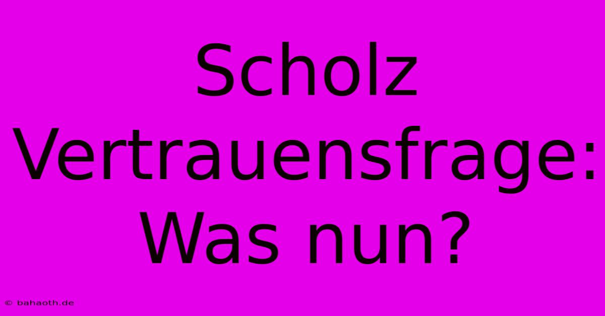 Scholz Vertrauensfrage: Was Nun?