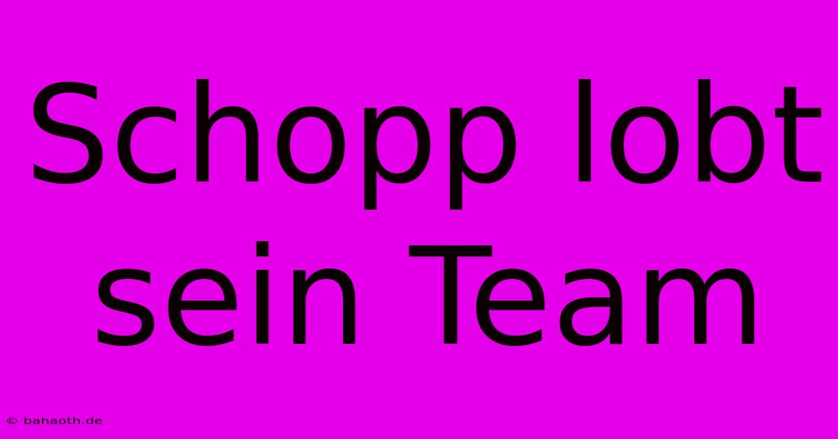 Schopp Lobt Sein Team