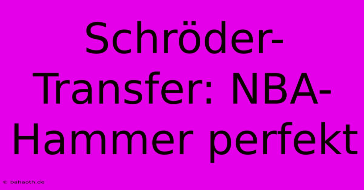 Schröder-Transfer: NBA-Hammer Perfekt