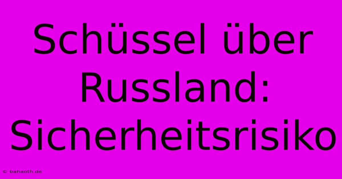 Schüssel Über Russland:  Sicherheitsrisiko