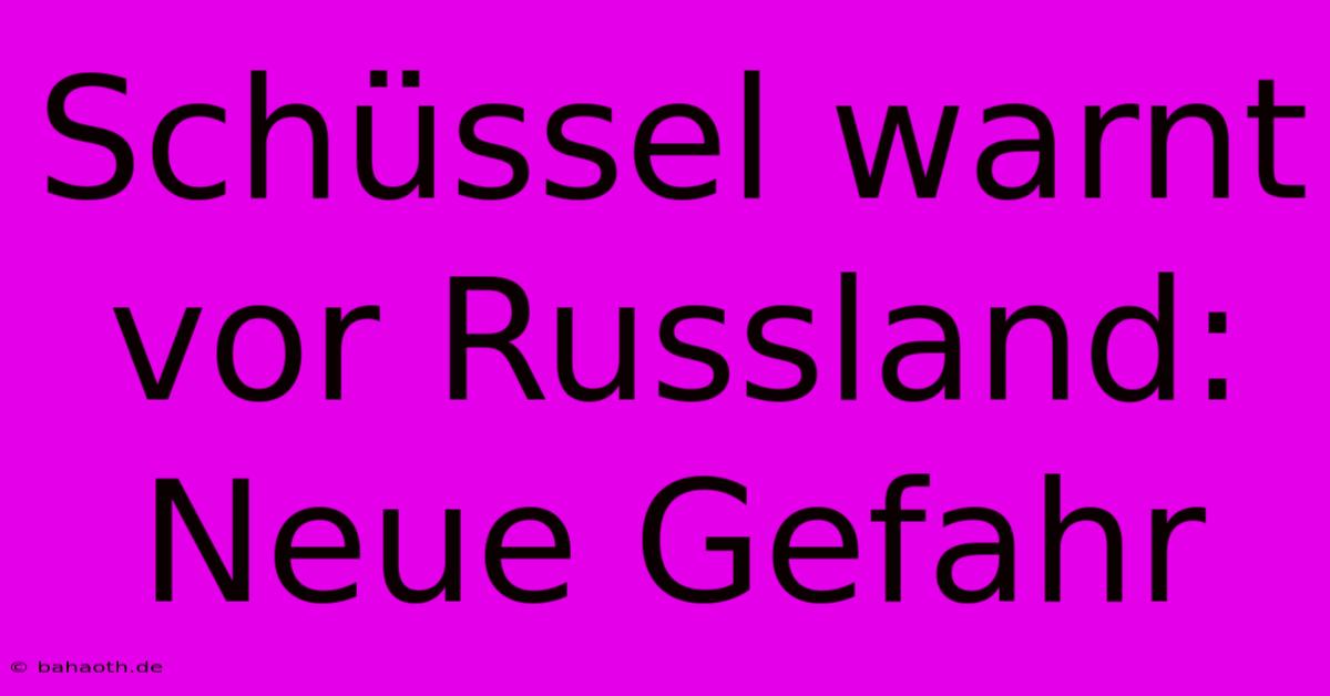 Schüssel Warnt Vor Russland:  Neue Gefahr