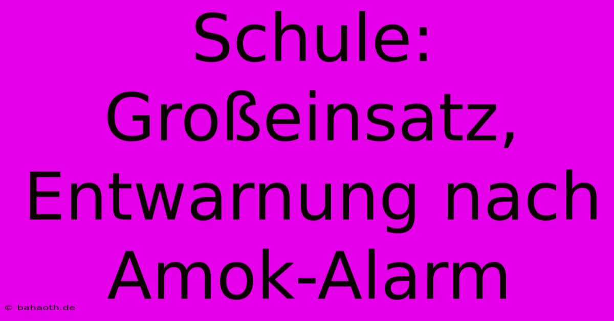 Schule: Großeinsatz, Entwarnung Nach Amok-Alarm