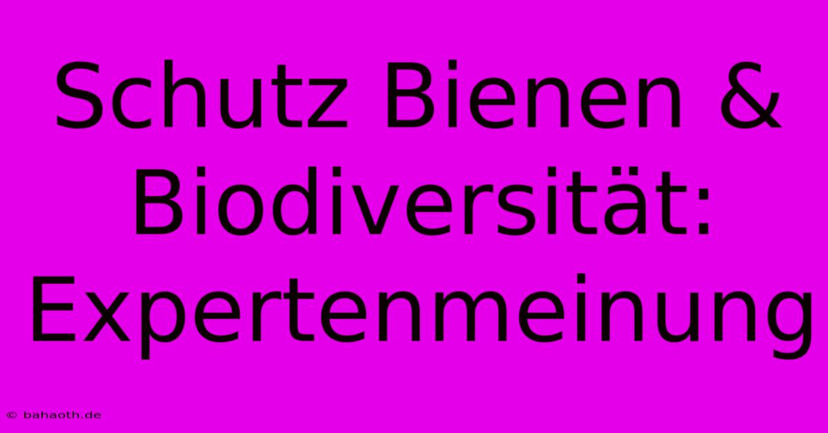 Schutz Bienen & Biodiversität: Expertenmeinung