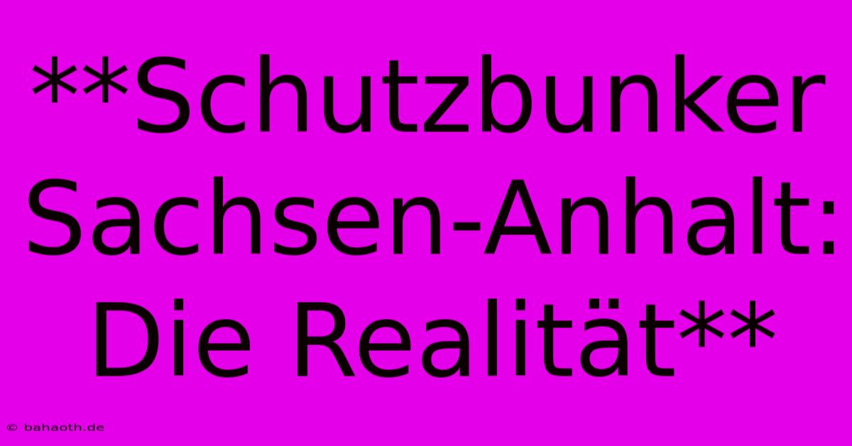 **Schutzbunker Sachsen-Anhalt:  Die Realität**