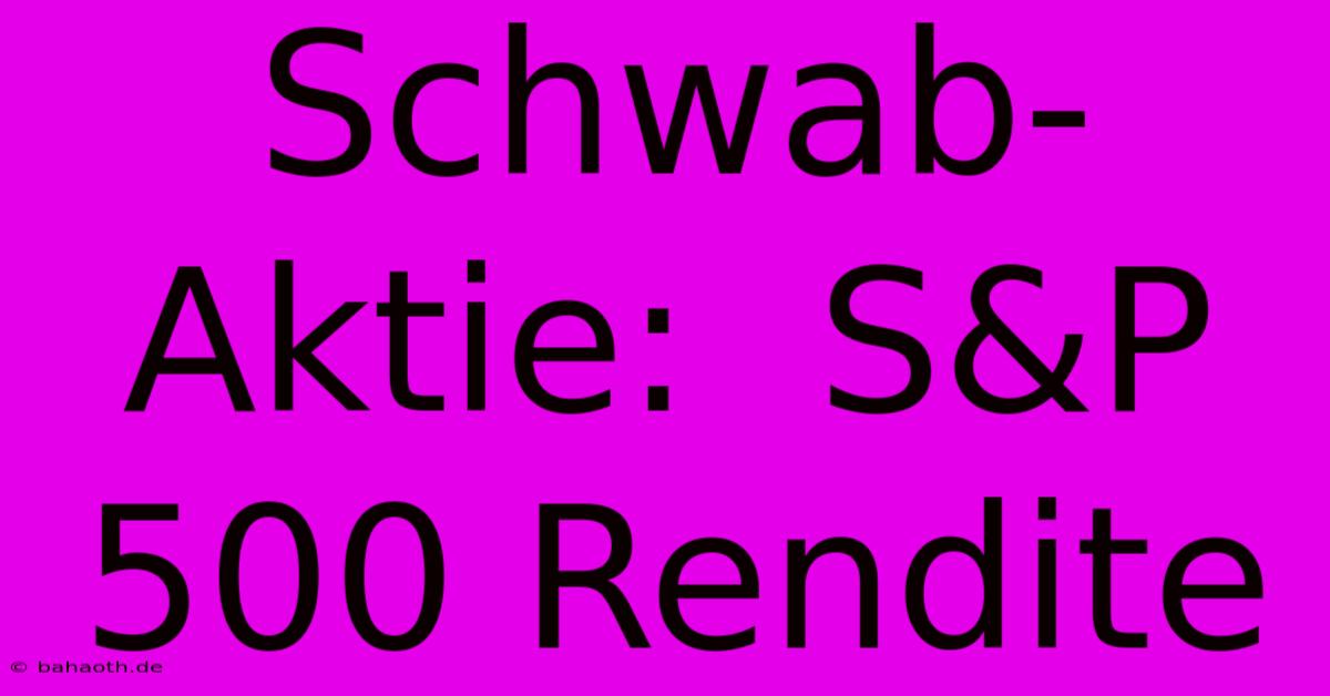 Schwab-Aktie:  S&P 500 Rendite