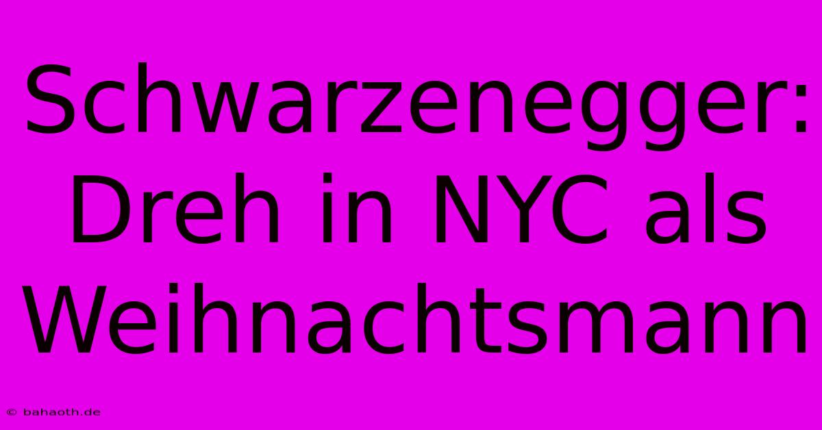 Schwarzenegger: Dreh In NYC Als Weihnachtsmann