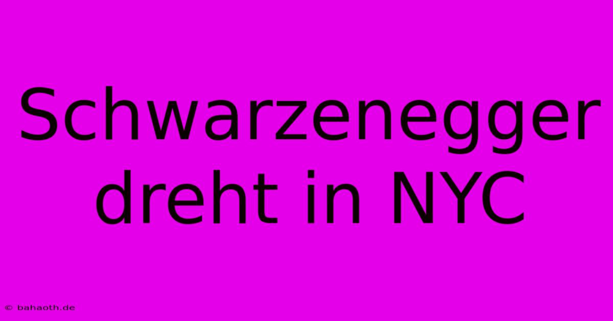 Schwarzenegger Dreht In NYC