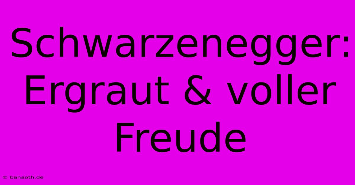 Schwarzenegger: Ergraut & Voller Freude