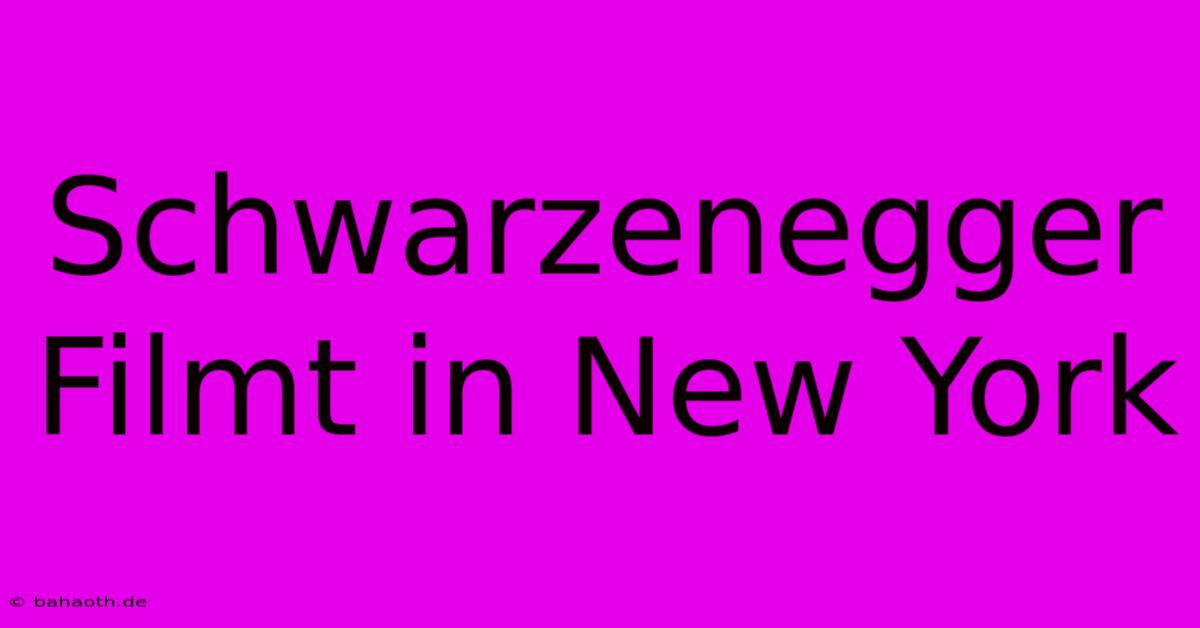 Schwarzenegger Filmt In New York